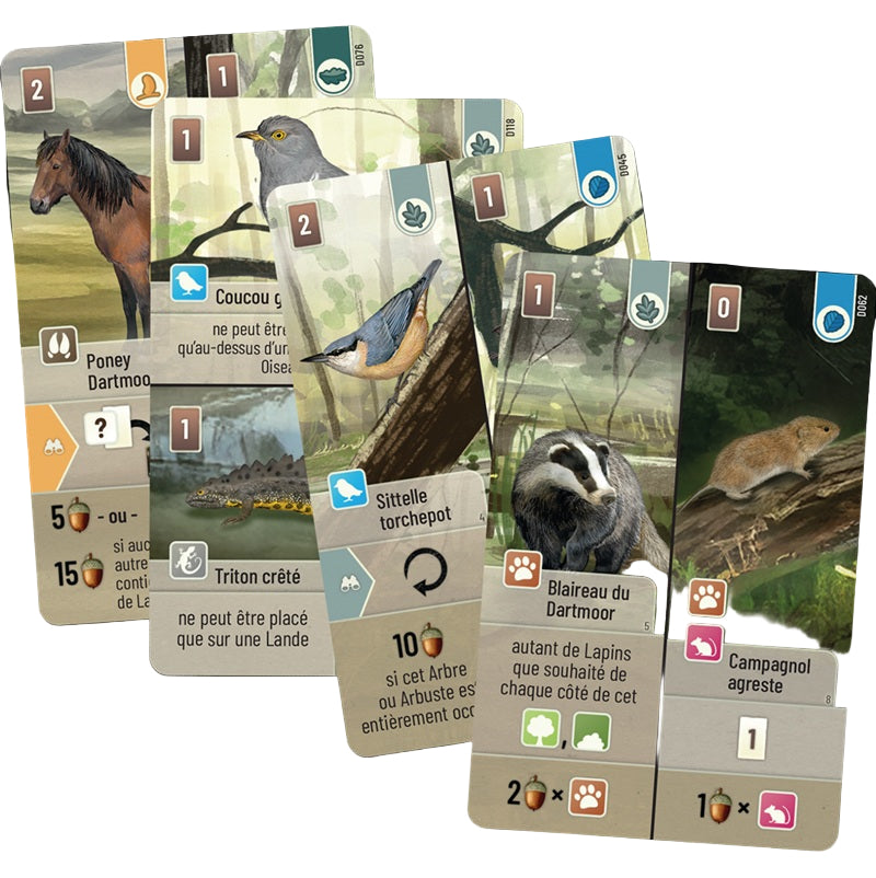 jeu de societe foret mixte Dartmoor cartes
