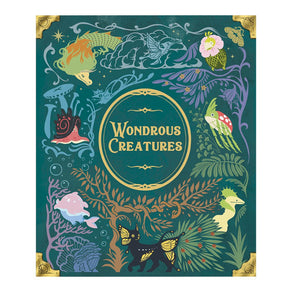 Boite jeux de societe wondrous creatures