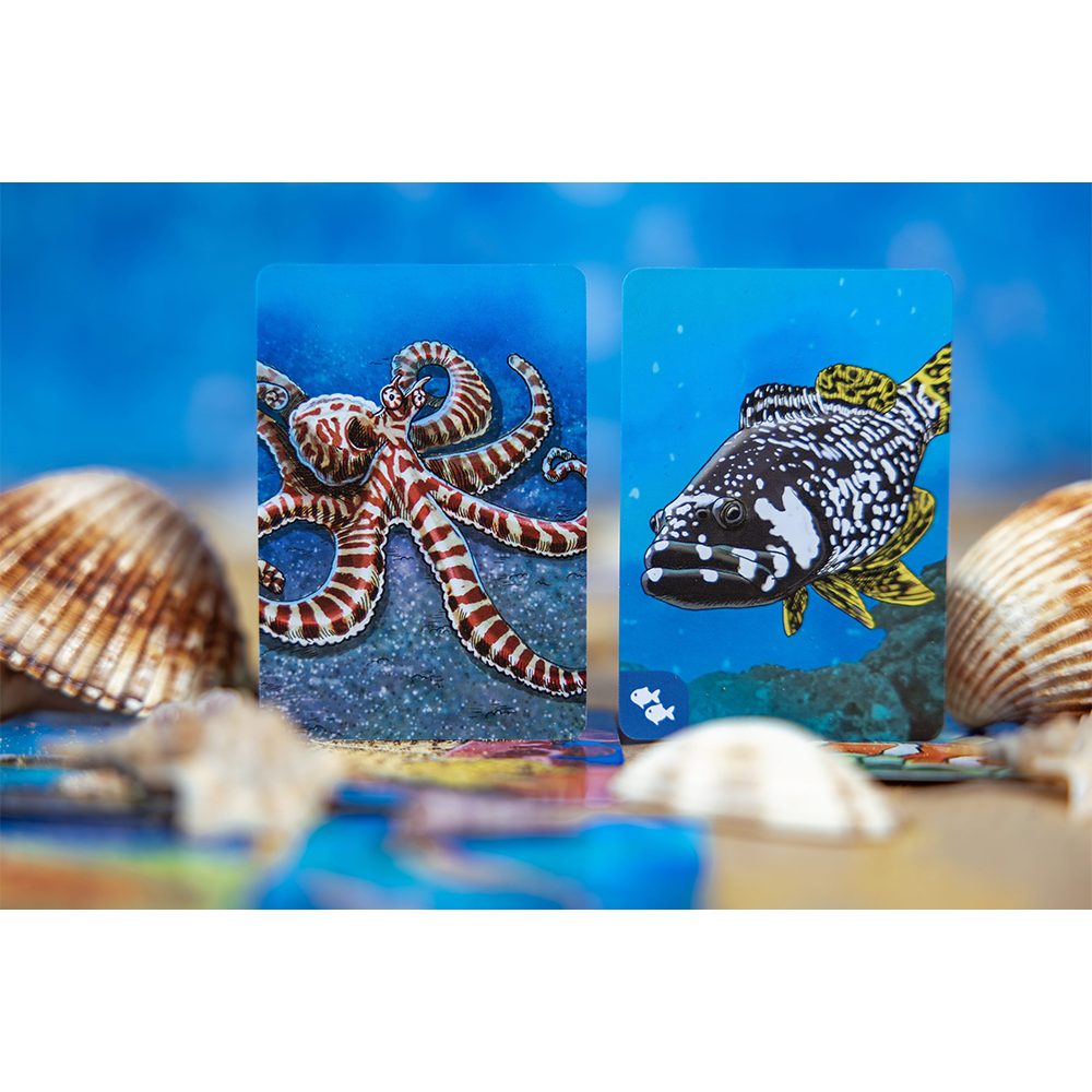cartes 2 jeu Ecosysteme Ocean