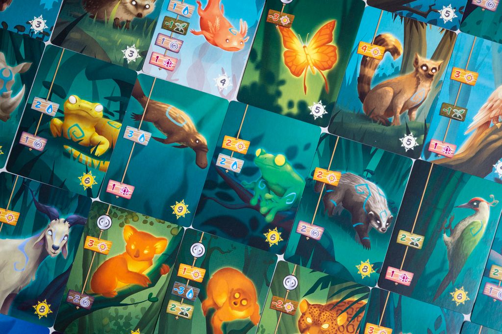 cartes jeu Living forest