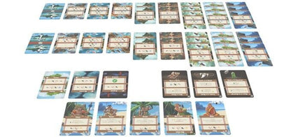 cartes jeu Palm Island
