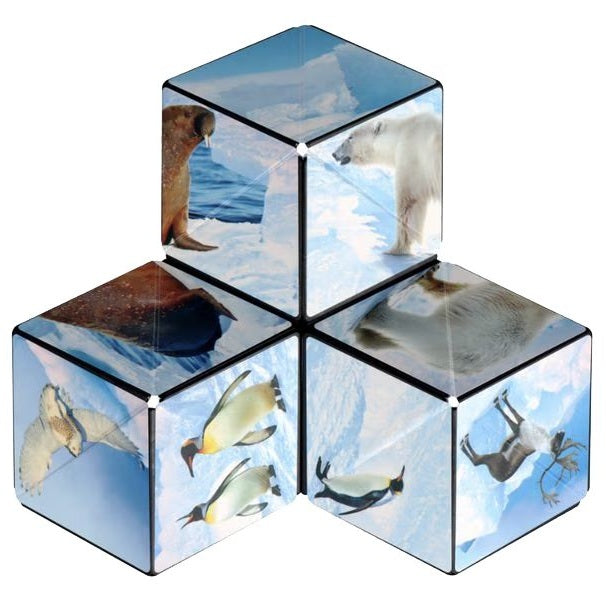 détails jeu shashibo arctic