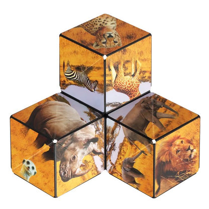 détails jeu shashibo savanna