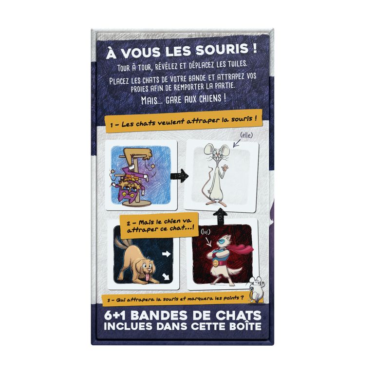 dos boite jeu chats de poche