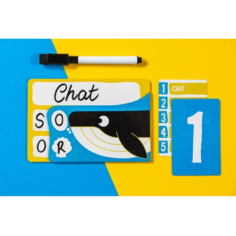 exemple jeu cachamot