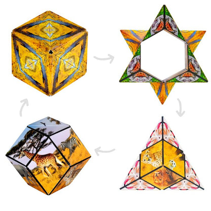 formes jeu shashibo savanna