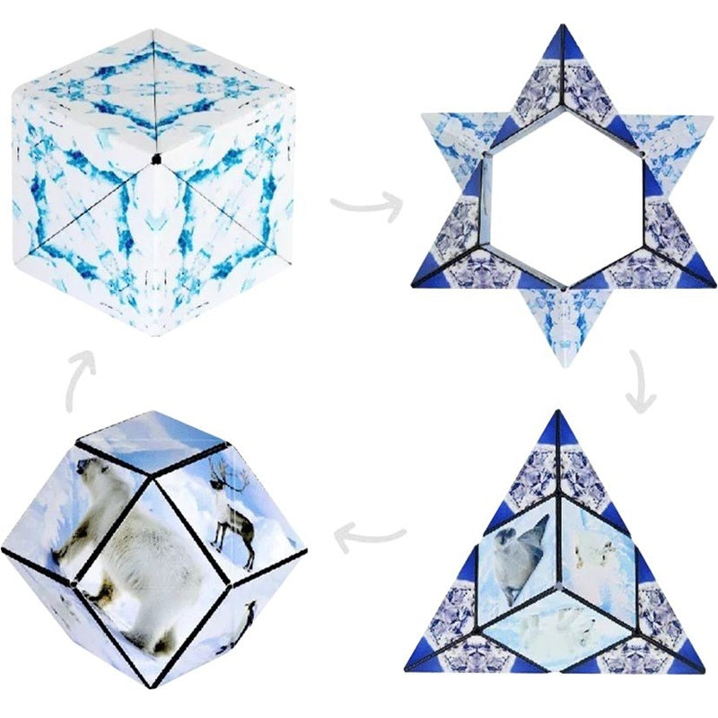 formes jeu shashibo arctic