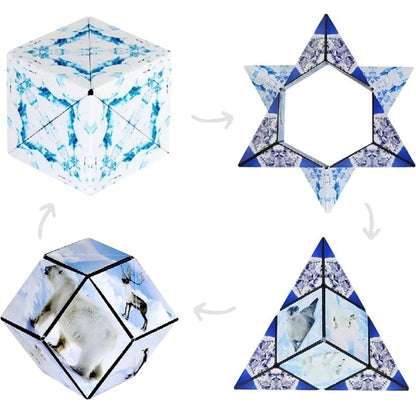 formes jeu shashibo arctic