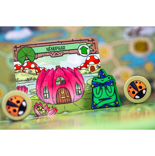 jeu de societe A Wild Venture carte