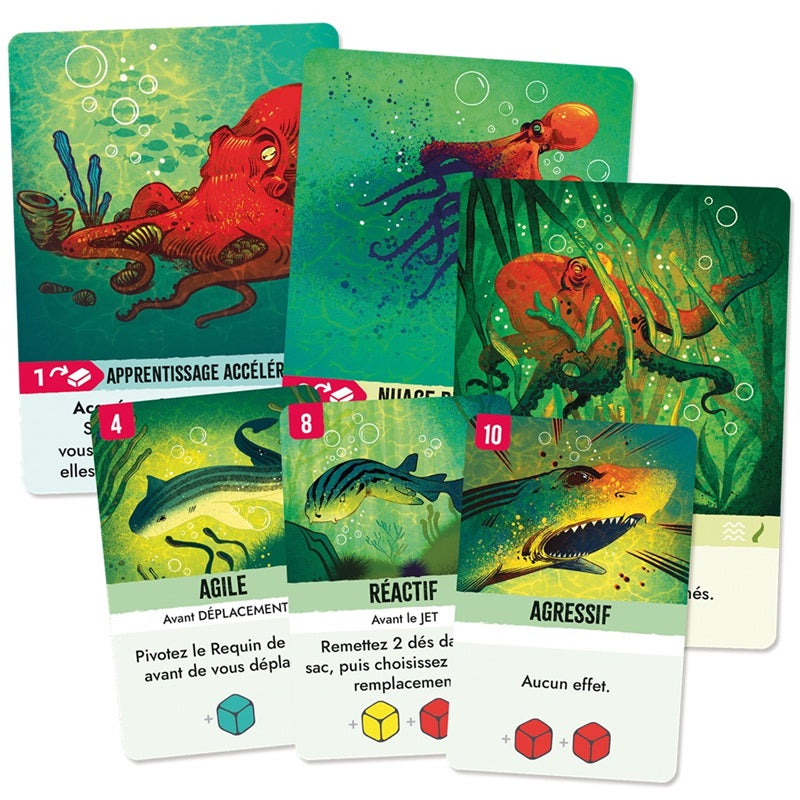 jeu de societe Kelp cartes