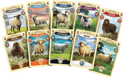 materiel 2 jeu Great Western Trail Nouvelle Zelande