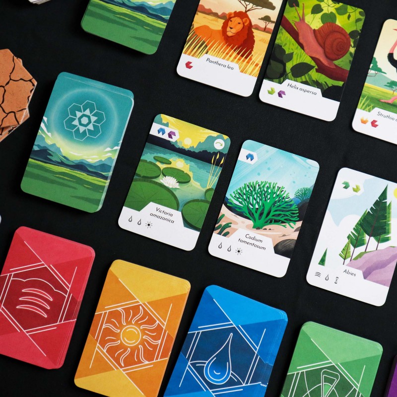 materiel jeu Ecosfera