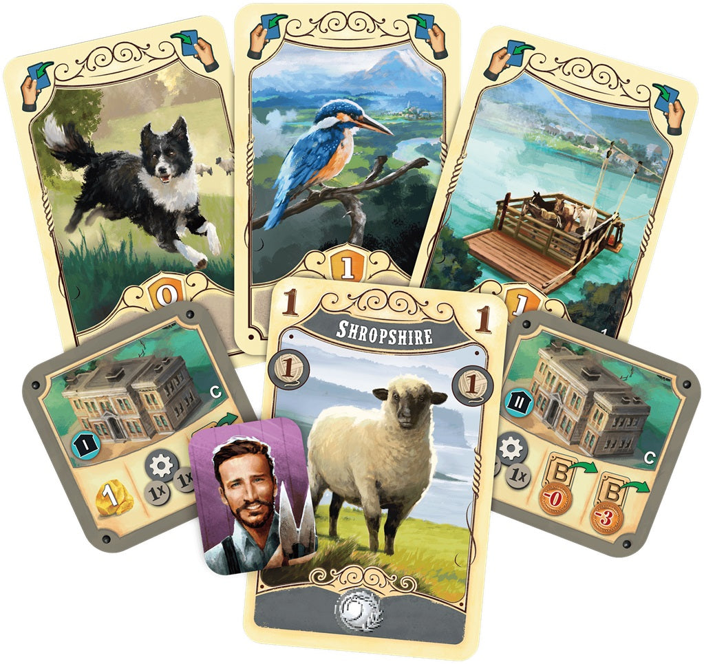 materiel jeu Great Western Trail Nouvelle Zelande