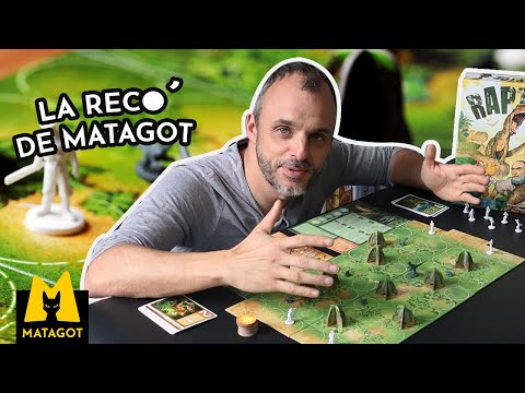 Video jeu Raptor