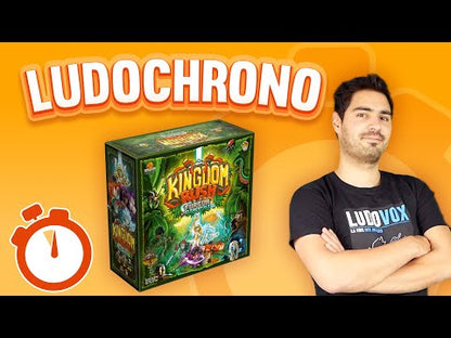 Video jeu Kingdom Rush Fureur Elementale