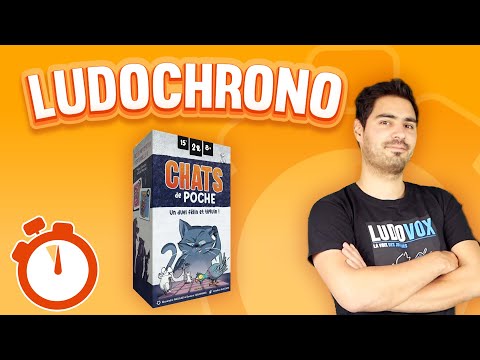 Video jeu Chats de poche