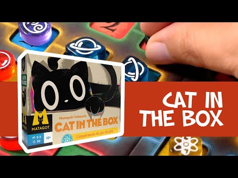 Video jeu Cat In The Box